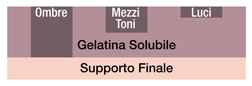 L'esposizione produce un rilievo dell'immagine costituito da gelatina indurita o insolubile. La gelatina indurita è rappresentata dalle zone più scure.