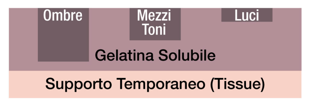 Swan aveva intuito che l'indurimento della gelatina inizia dalla superficie dell'umulsione a contatto con il negativo